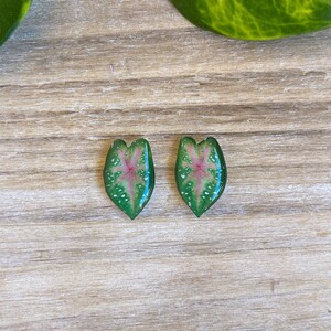 Caladium Plant Stud Earrings, Houseplant Jewelry, Tropical Plant Lover Gift, Botanical Leaf Posts, Handmade Pressed Plant Accessories
