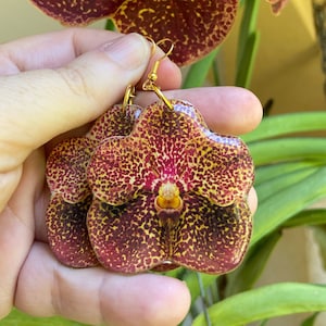 Orchid Earring, Orchid Jewelry, Red Yellow Vanda Orchid, Floral Dangles, Resin Flower, Orchid Gift, Flower Earring, Tropical Jewelry