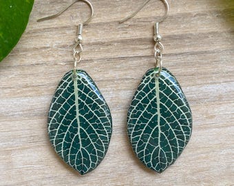 Pendientes de planta nerviosa, pendientes de hoja, joyería de plantas de interior, regalos de plantas, planta fitonia, regalo para amantes de las plantas, pendiente botánico, hoja verde