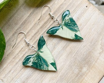 Syngonium Albo Dangle Earring, Handmade Tropical Leaf, Houseplant Jewelry, Indoor Plant Earring, Plant Parent Gift,  Variegated Plant
