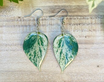 Pendientes de planta blanca de Aglaonema, hoja perenne china, joyería de plantas de interior, regalos de plantas, colgantes botánicos, hoja tropical, pendientes hechos a mano