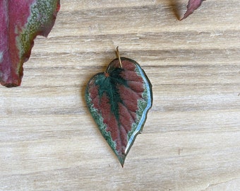 Begonia Plant Pendant, Begonia Rex, Leaf Pendant, Houseplant Jewelry, Plant Gifts, Plant Lover Gift, Botanical Pendant