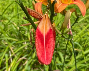 Daylily Flower Earring, Daylily Jewelry, Resin Flower Earring, Floral Earring, Orange Flower, Flower Gift, Flower Petals, Daylily Design