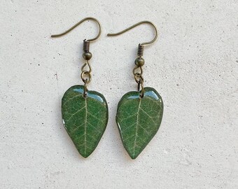 Plant Earring, Creeping Fig Earring, Green Leaf Jewelry, Plant Jewelry, Resin Leaves, Botanical Jewelry, Houseplant Gift, Ficus Repens