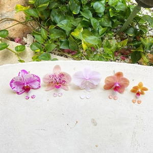 Orchid Flower Stud Earrings, Orchid Post Jewelry, Orchid Earring, Flower Earring, Botanical Earring, Orchid Gift, Phalaenopsis, Moth Orchid