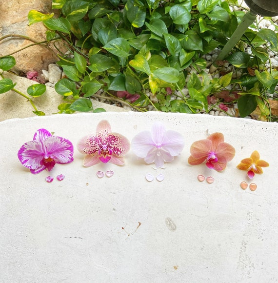 Orchid Flower Stud Earrings Orchid Post Jewelry Orchid Etsy