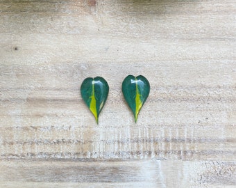 Brazilian Philodendron Plant Earrings, Heartleaf Houseplant Jewelry, Sweetheart Plant Gifts, Handmade Botanical Studs, Pothos Brasil Posts