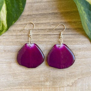May include: A pair of earrings featuring a purple flower petal design. The earrings are made with real flower petals that have been preserved in resin. The earrings have silver hooks.