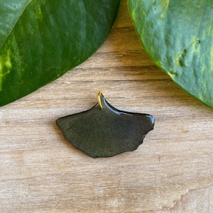 Ginkgo Leaf Pendant, Ginkgo Jewelry, Green Ginkgo, Plant Pendant, Inspired by Nature, Resin Leaf Jewelry, Fan Shaped Pendant, Ginkgo Plant