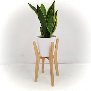 Moderner Blumenständer für drinnen