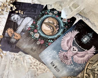May include: Three tarot cards with illustrations of a weasel, a sleeping mouse, and an owl. The cards are labeled "Not Never", "Rest", and "New Moon". The cards are surrounded by crystals and decorative metal objects.