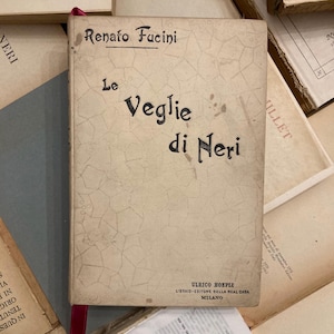 May include: A vintage book cover with a white background and a cracked texture. The title is "Le Veglie di Neri" by Renato Fucini. The book was published by Ulrico Hoepli, Libraio-Editore della Real Casa in Milan.
