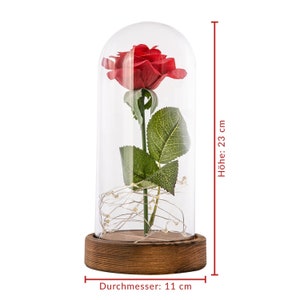 Ewige Rose Im Glas I Love You Geschenk Für Frauen – Schmuck Als Geburtstags- Oder Weihnachtsgeschenk Für Freundin, Mutter & Mehr Goldene Geschenke Für Frauen Geburtstag