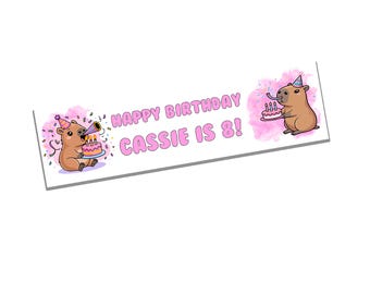 Kids Pink Capybara Birthday Banner - Gloss Finish - Large 60'' x 17''