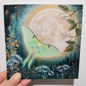 Carte de voeux papillon de nuit luna
