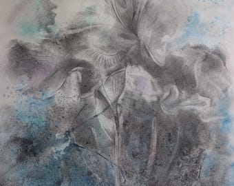 Iris Drawing Original Art 40x50 cm, Floral Ocean Wall Art, Graphite Pastel Artwork, Botanical Minimalist Decor, Blue Nature Art