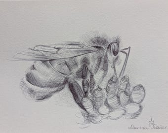 Bee on Flower Original Artwork – Pen Drawing, Fine Line Nature Art, Miniature