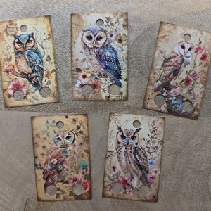 Lot de 20 gouttes de fil dentaire hiboux, cartes de fil, étiquettes de fil dentaire