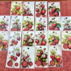 Lot de 20 gouttes de fil dentaire, fraise, cartes de fil, étiquettes de fil dentaire