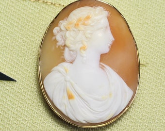 Shell CAMEO pin,  classical look, Victorian, lovely lady, handmade frame, C clasp plus security pin and chain, A-1 condition