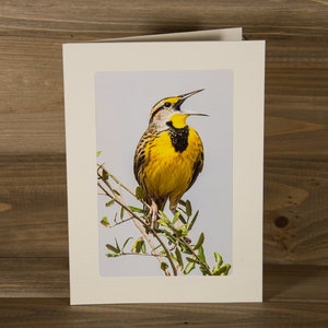 Meadowlark Bird Singing Photo Greeting Card (5x7) - 3056