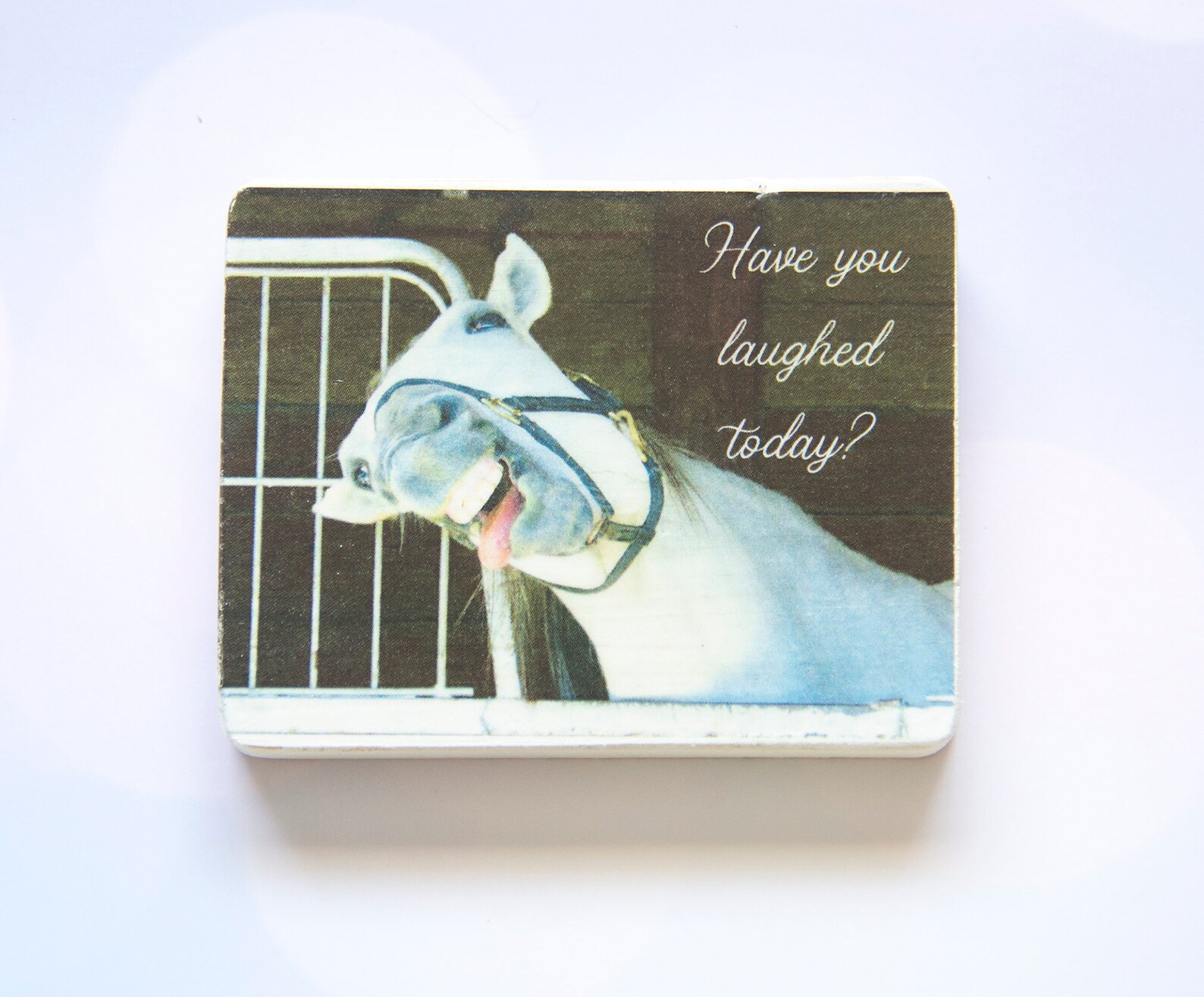 Happy Thoughts Fridge Horse with Have you laughed Etsy