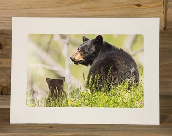 Mama Bear and Cub Photo Greeting Card (5x7) - 3005