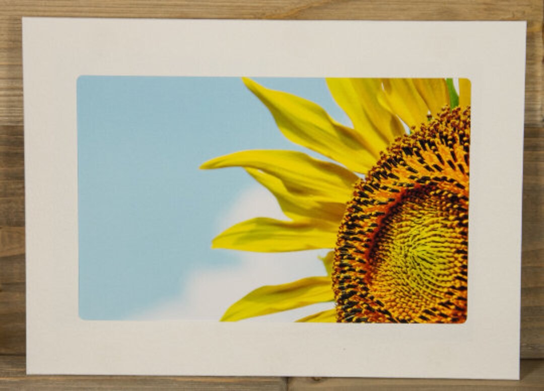 Sideways Sunflower Photo Greeting Card 5x7 3034A - Etsy