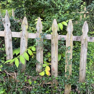 Wood garden gate