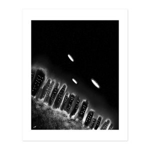UFO Night Life Art Print Poster