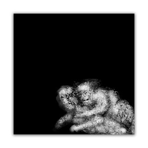 May include: A black and white digital illustration of a creature with two faces. The creature is depicted in a shadowy, abstract style, with a grainy texture.
