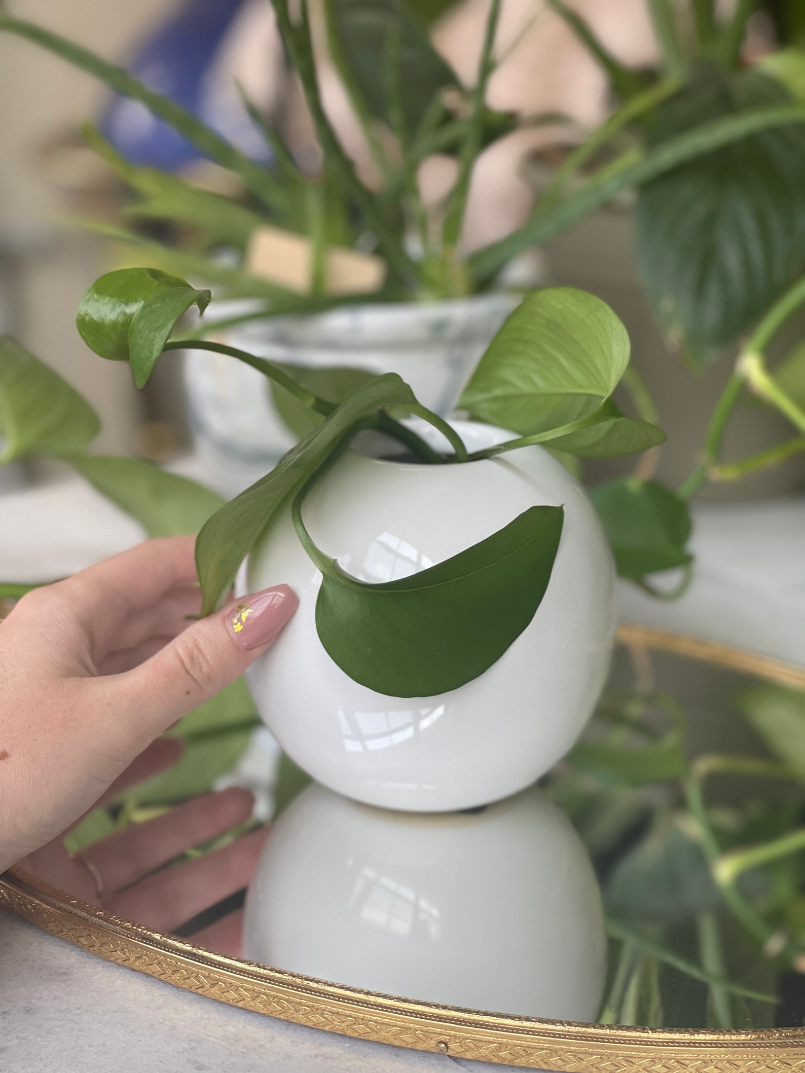 Round White Funky Vase Minimalist for Flowers Plants or Etsy