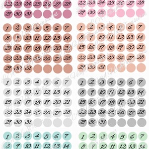 Op de afbeelding: Vier sets van 31 genummerde cirkels in verschillende kleuren. De eerste set is roze, de tweede is perzik, de derde is grijs en de vierde is lichtgroen.