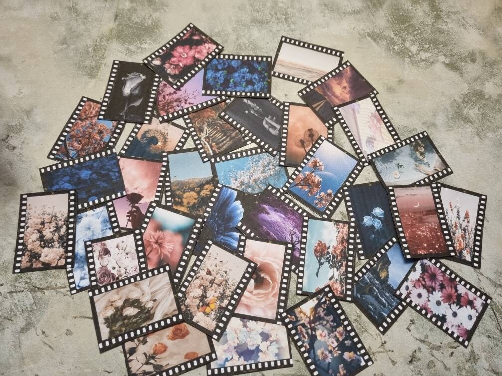 Botanical Photo Negative Sticker Set/ Floral Photo Negative Etsy