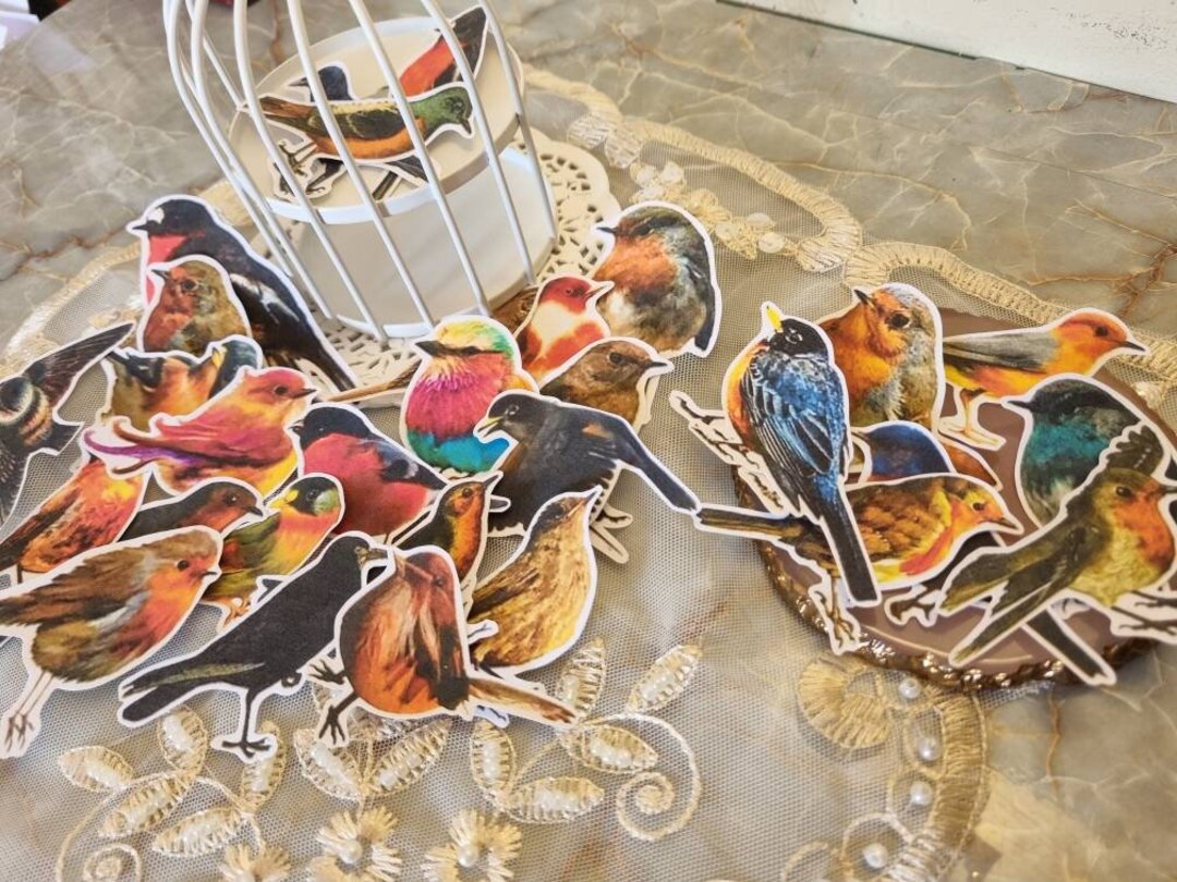 Wild Bird Sticker Set / Colourful Bird Sticker Flakes / Bird Sticker ...