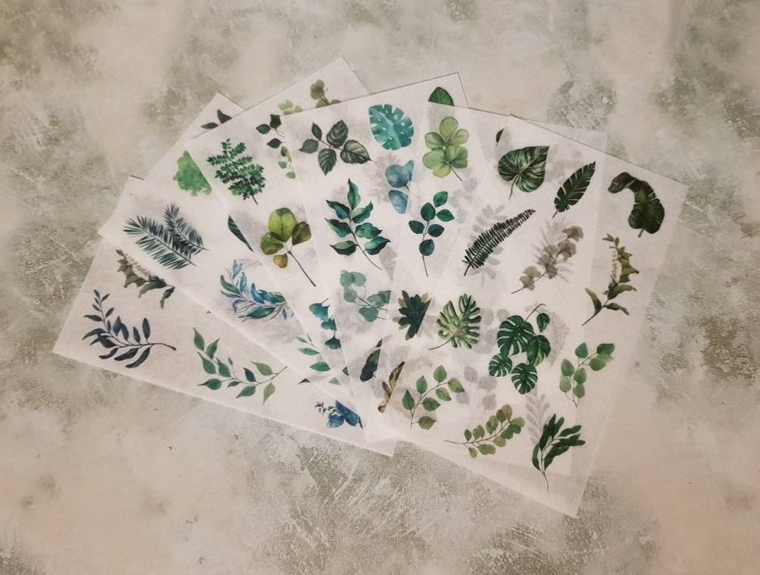 Botanic Blends Sticker Vibrant Botanical Sticker Set/ Decorative Leaf & Vine Sticker Sheet - Etsy