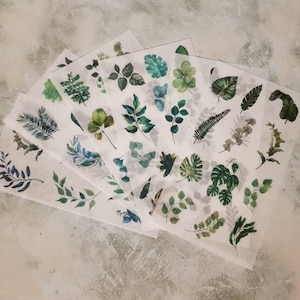 Vibrant Botanical Sticker Set/ Decorative Leaf & Vine Sticker Sheet