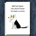 Funny Dog Get Well Card - At Least You Don't Have to Wear a Cone!