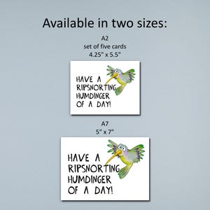 Funny Hummingbird Greeting Card, Notecard Set - Have a Ripsnorting ...