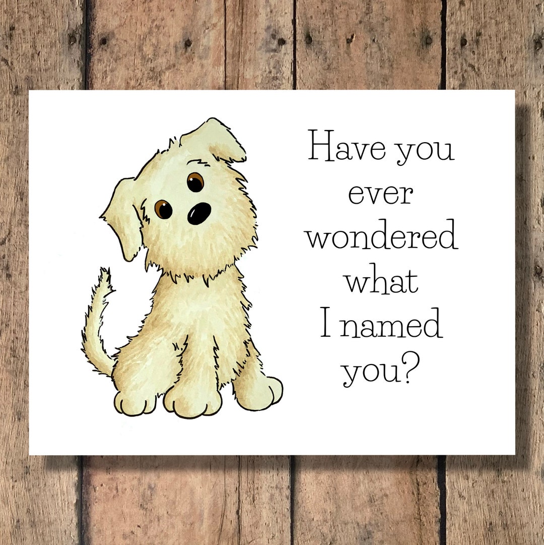 Funny Dog Greeting Card Have You Ever Wondered What I Named You Etsy