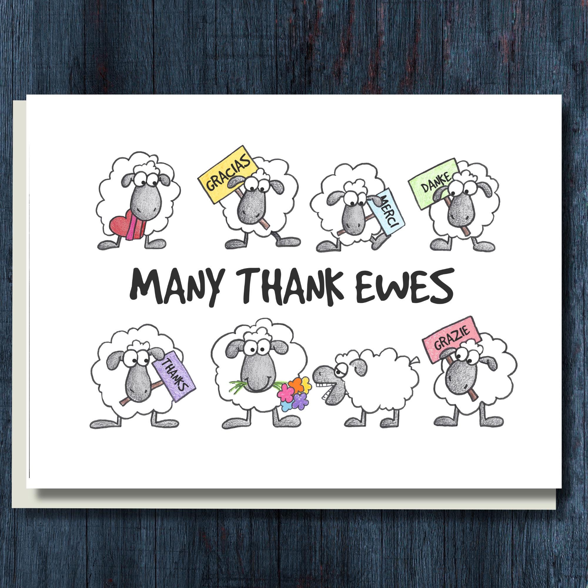 ヨシ　thank youカード　800枚＋おまけ Funny Thank You Card / Postcard - Many Thank Ewes! - Etsy