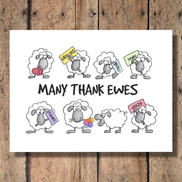 Funny Thank You Card - Many Thank Ewes!