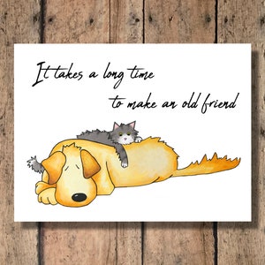 Funny Dog & Cat Greeting Card - It Takes a Long Time to Make an Old Friend!