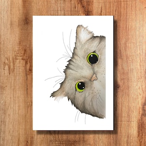 Funny Cat Postcard - Peekaboo!