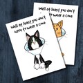 Funny Cat Get Well Card - At Least You Don't Have to Wear a Cone!