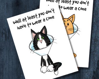 May include: Two white greeting cards featuring a cartoon illustration of a cat wearing a plastic cone. The text on the cards reads, Well at least you don't have to wear a cone. One card shows a black and white cat, and the other shows an orange cat.