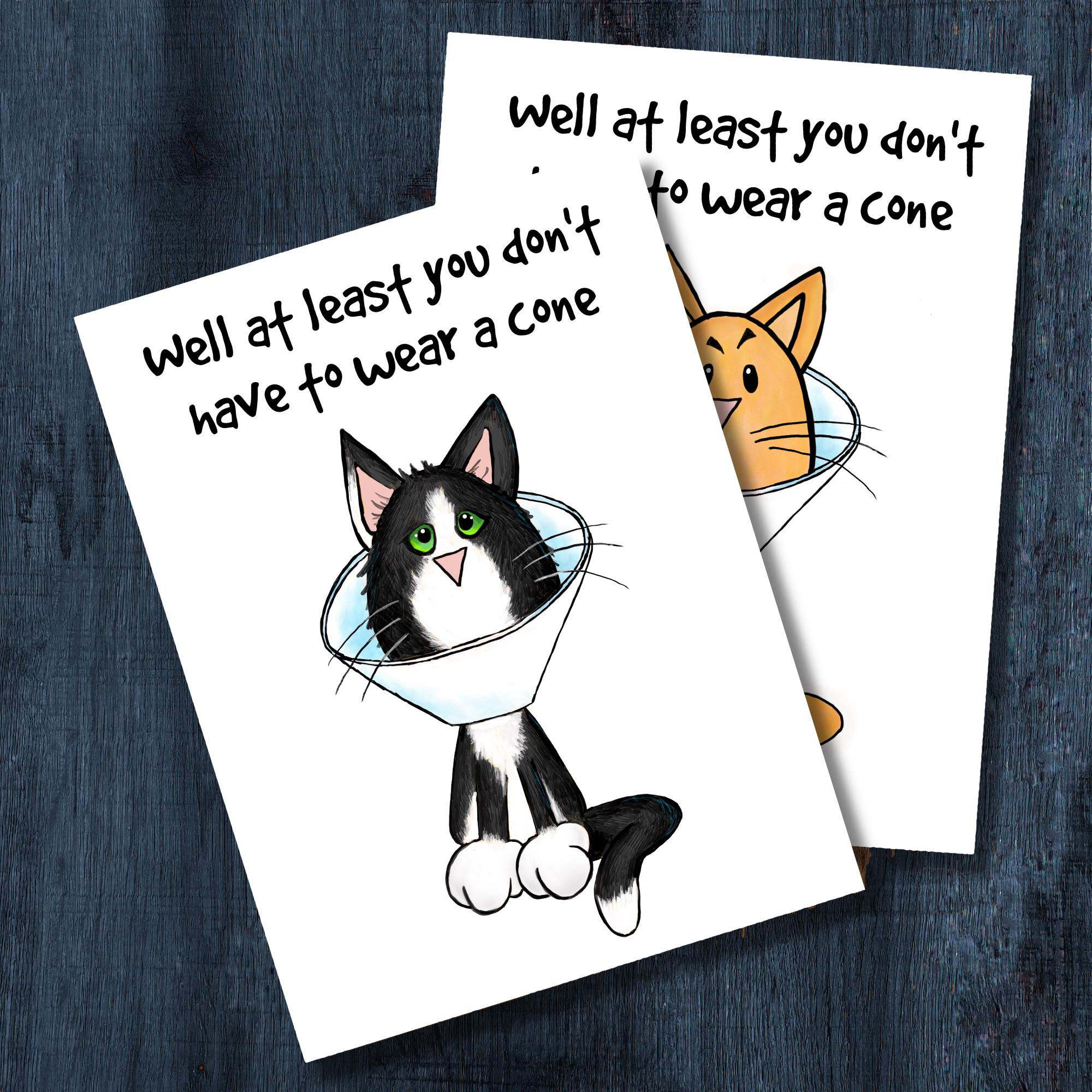 Funny Cat Get Well Card - At Least You Don