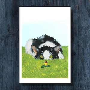 Funny Cat and Ladybug Postcard