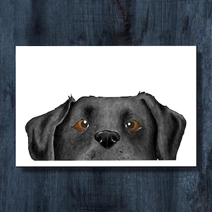 Funny Dog Postcard - Black Lab