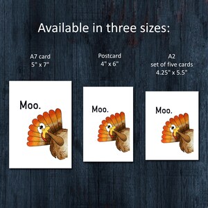May include: Three white cards featuring a cartoon turkey with orange and brown feathers and the text 'Moo.' The sizes are listed as A7 card 5" x 7", Postcard 4" x 6", and A2 set of five cards 4.25" x 5.5". The text 'Available in three sizes:' is included.